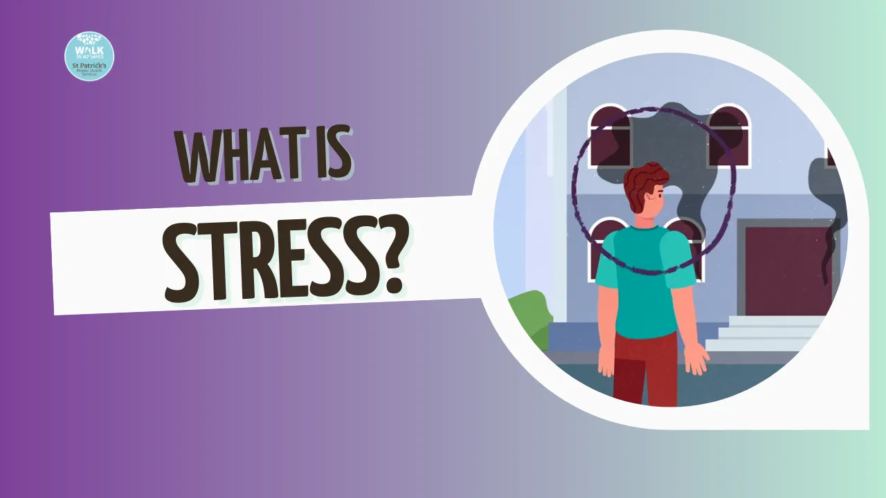 What is Stress