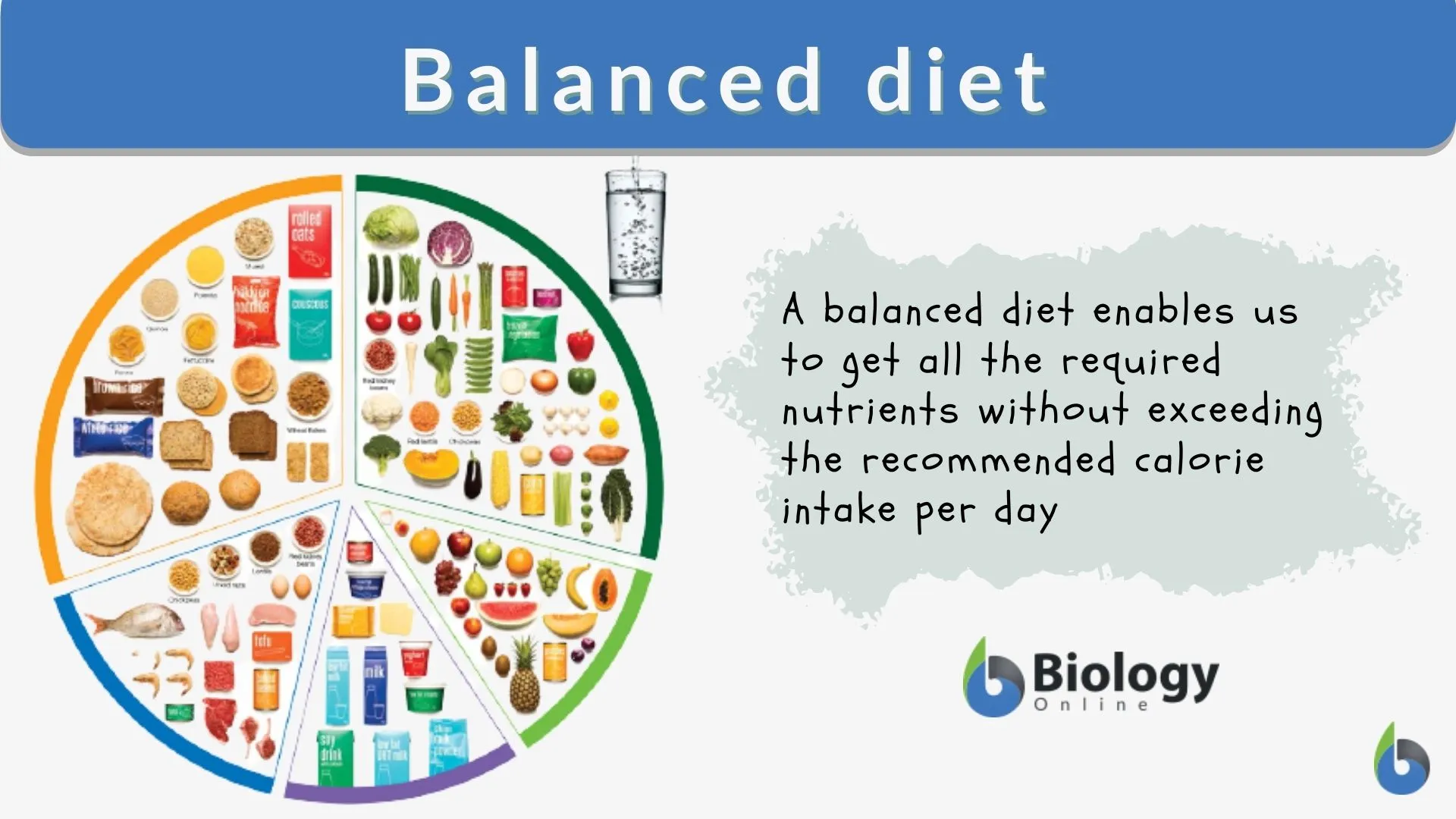 What is a Balanced Diet