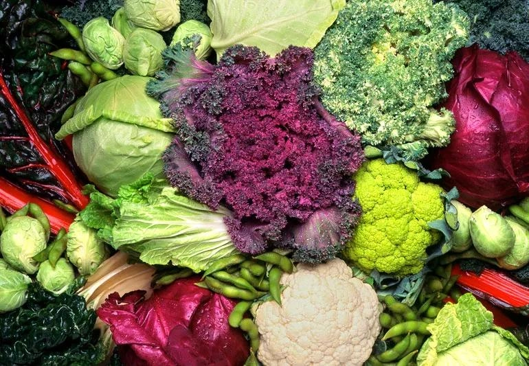 Cruciferous Vegetables